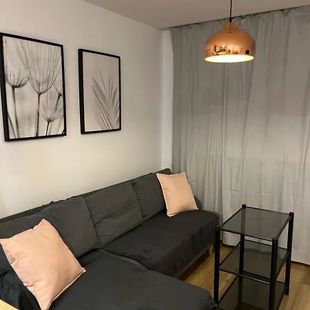 Apartment Przy Stadionie Slaskim I Parku Slaskim Tysiaclecie Kattowitz