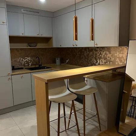 Przy Stadionie Slaskim I Parku Slaskim Tysiaclecie Appartement Katowice