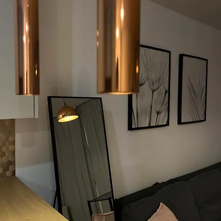 Przy Stadionie Slaskim I Parku Slaskim Tysiaclecie