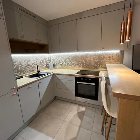 Przy Stadionie Slaskim I Parku Slaskim Tysiaclecie Appartement *