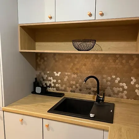 Przy Stadionie Slaskim I Parku Slaskim Tysiaclecie Appartement