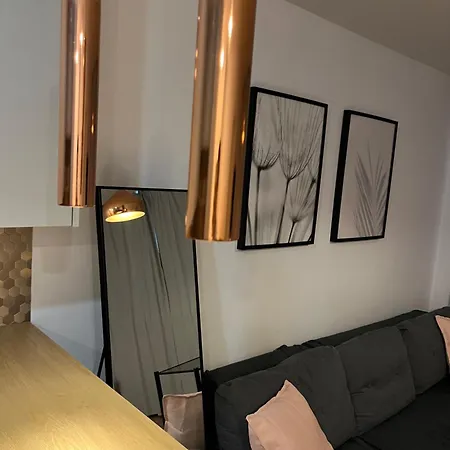 Przy Stadionie Slaskim I Parku Slaskim Tysiaclecie * Kattowitz