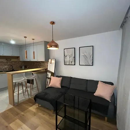 Apartment Przy Stadionie Slaskim I Parku Slaskim Tysiaclecie *