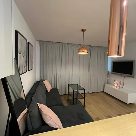 Apartment Przy Stadionie Slaskim I Parku Slaskim Tysiaclecie *
