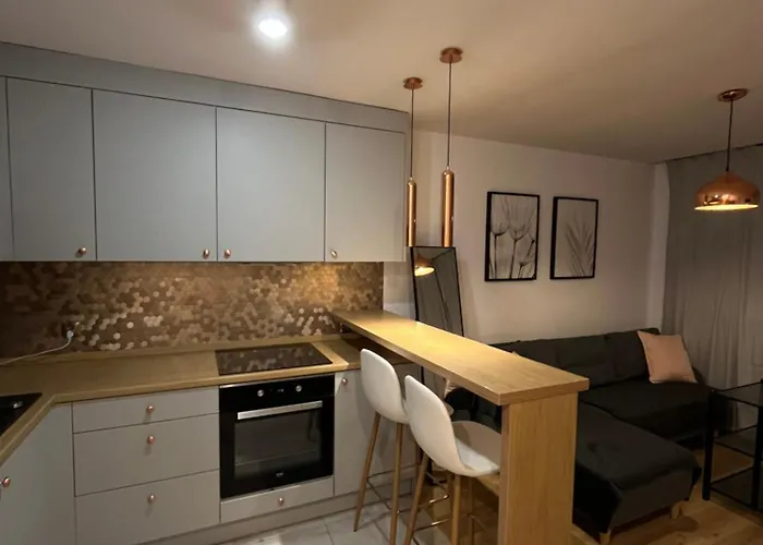 Przy Stadionie Slaskim I Parku Slaskim Tysiaclecie * Κατοβίτσε