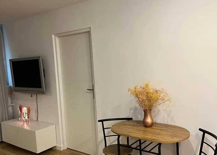 Przy Stadionie Slaskim I Parku Slaskim Tysiaclecie Διαμέρισμα