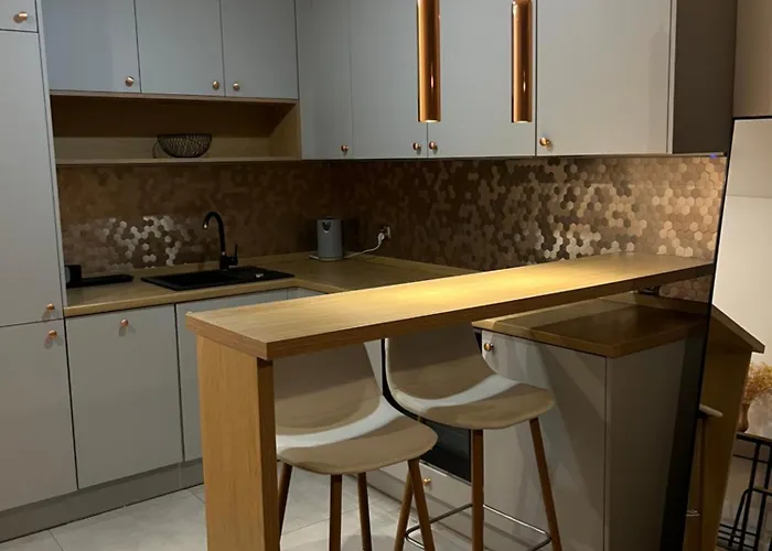 Przy Stadionie Slaskim I Parku Slaskim Tysiaclecie Διαμέρισμα Κατοβίτσε