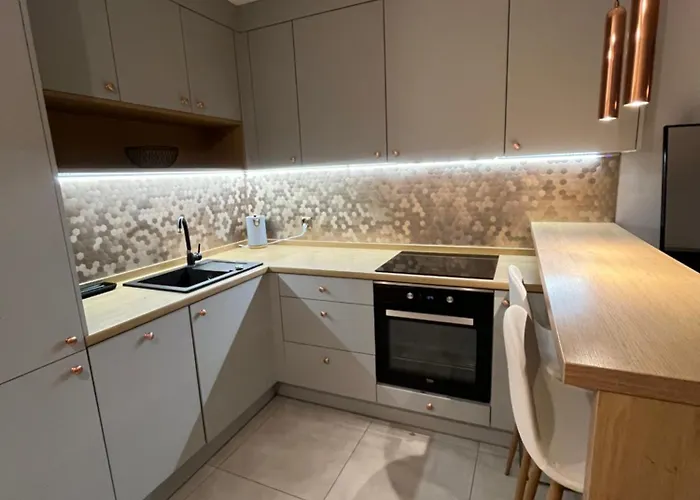 Przy Stadionie Slaskim I Parku Slaskim Tysiaclecie Διαμέρισμα *