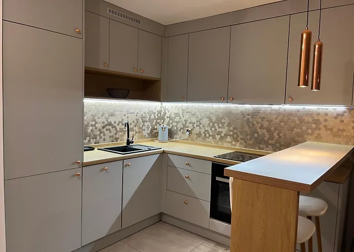 Διαμέρισμα Przy Stadionie Slaskim I Parku Slaskim Tysiaclecie *