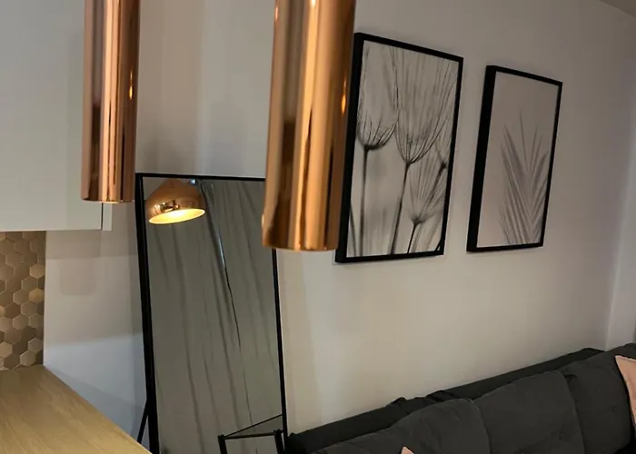 Przy Stadionie Slaskim I Parku Slaskim Tysiaclecie * Κατοβίτσε