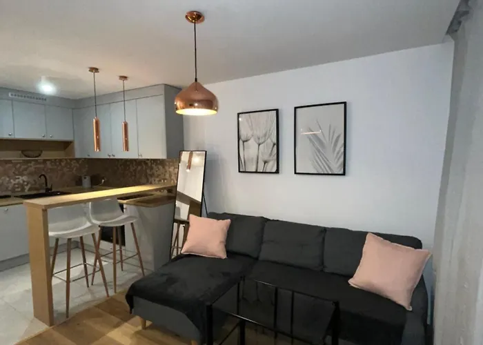 Διαμέρισμα Przy Stadionie Slaskim I Parku Slaskim Tysiaclecie *